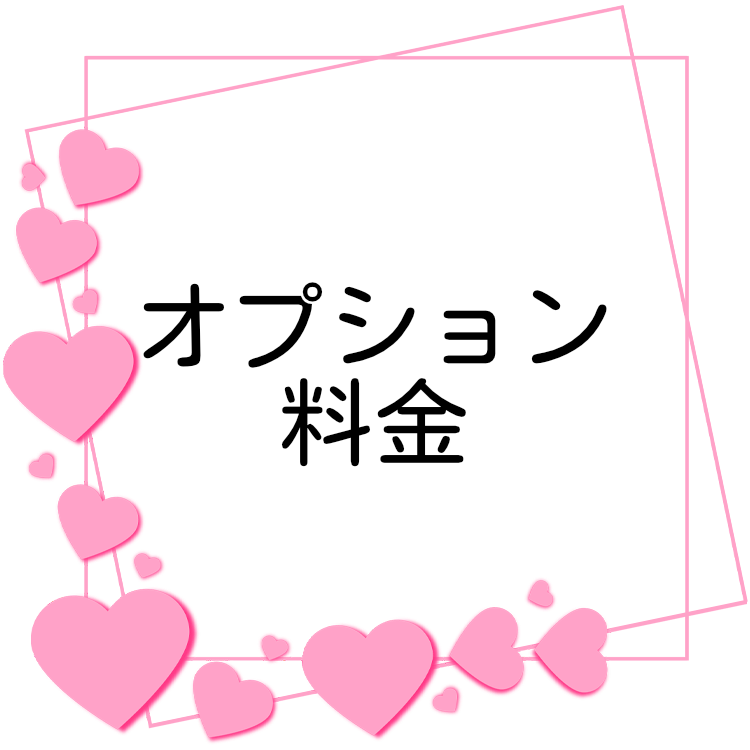 オプション料金