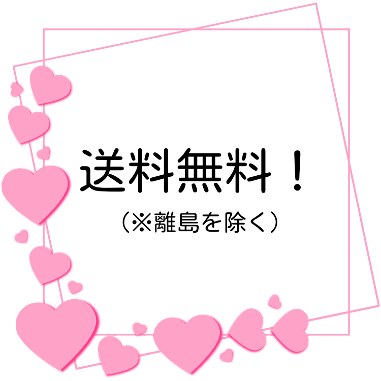 送料無料